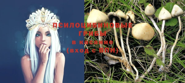 спайс Алексин