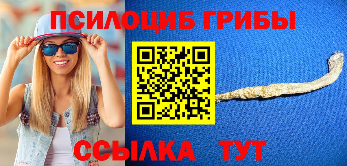 Миасс  Галлюциногенные грибы ЛСД  Вход с VPN 